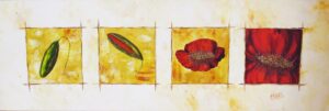 "Vie d'un Coquelicot (1)" © Rachel SAYOUS
